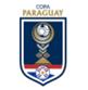 Copa Paraguay